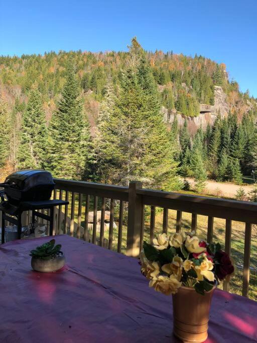 Chalet L'Erable Mont-Tremblant/Lac Superieur & Spa Esterno foto